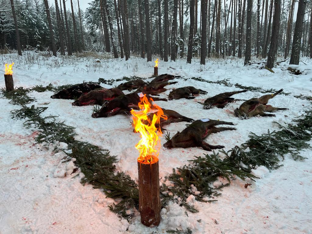 Naháňka na černou zvěř 17.12.2022